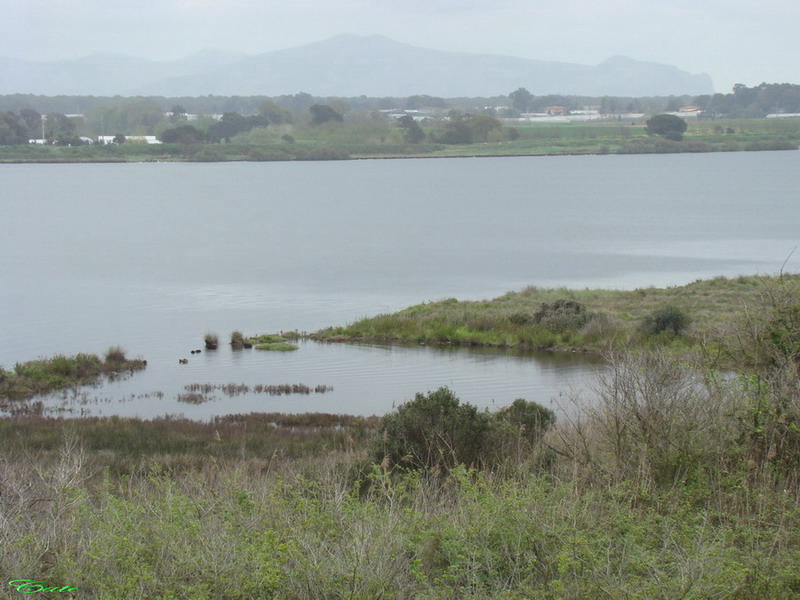 Parco nazionale del Circeo